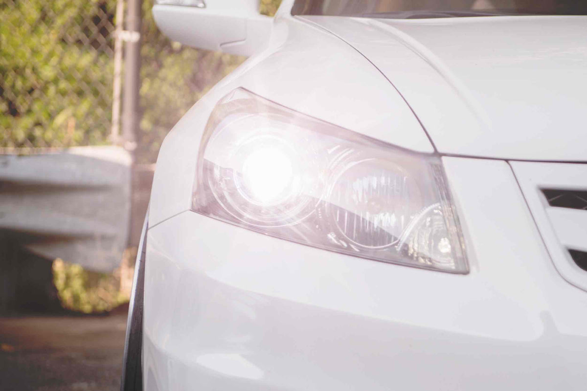H1: ACME HID (5000K) - HID Bulbs (H - Series) (Image 6 of 6)