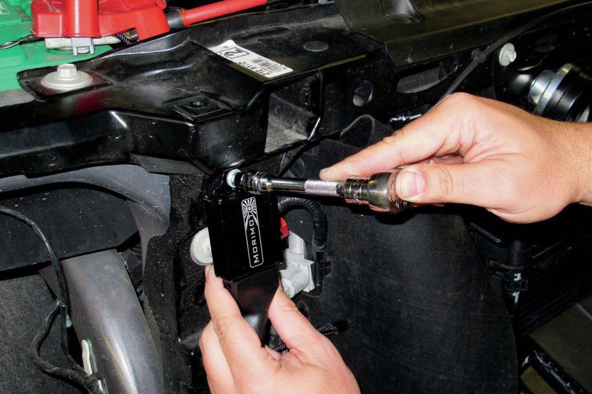 Conversion Harness: F150 OEM HID Headlights (2009-2014) - Relay Harnesses (Image 6 of 6)