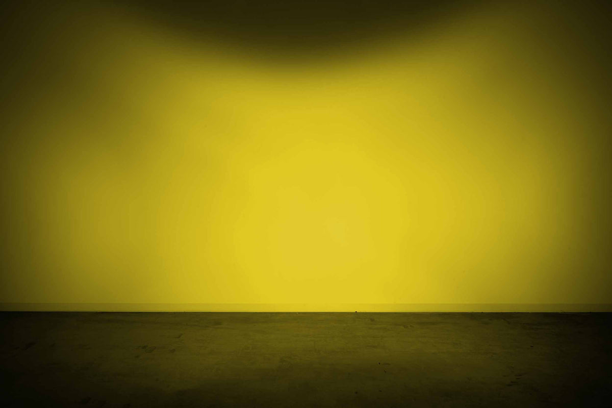 Lens Only: 4Banger (Yellow / Flood / Each) - Off Road - Universal (Image 1 of 3)