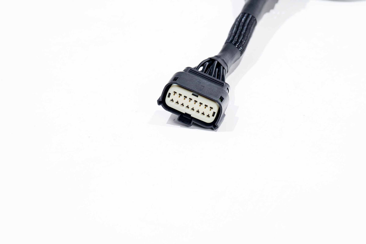 XBG Adapter Harness: 21-23 F-150 OE Projector LED - Wiring Parts (Image 4 of 6)