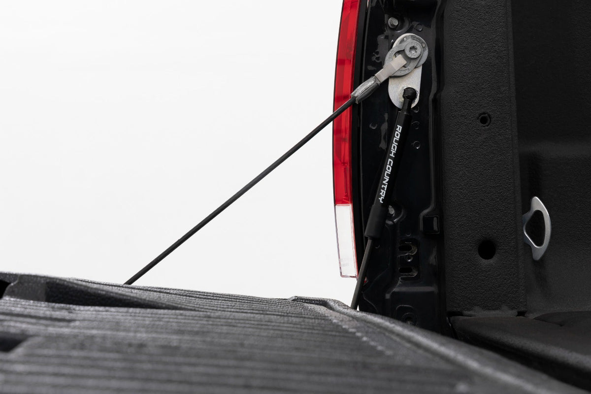 Tailgate Assist | Ford F-250/F-350 Super Duty 2WD/4WD (1999-2016) - Misc 25% (Image 1 of 6)