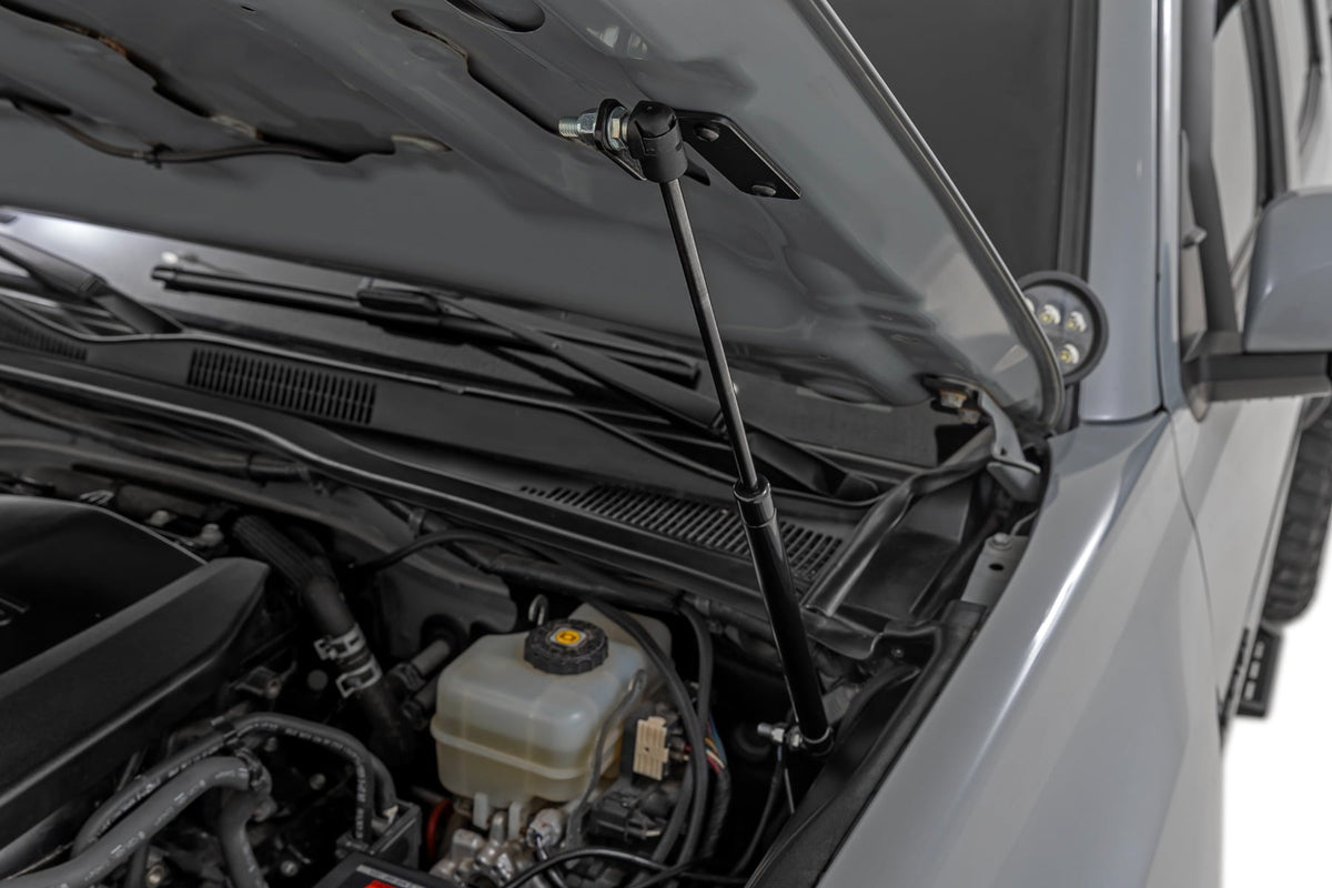 Hood Struts | Hydraulic | Toyota Tacoma 2WD/4WD (2016-2023) - Other Finished Goods (Image 2 of 6)