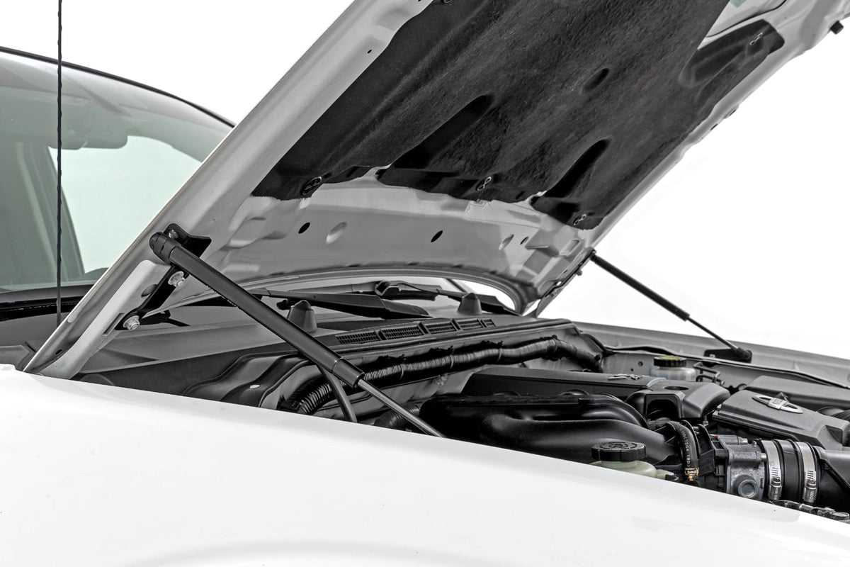 Hood Struts | Hydraulic | Nissan Frontier 2WD/4WD (2005-2021) - Other Finished Goods (Image 1 of 6)