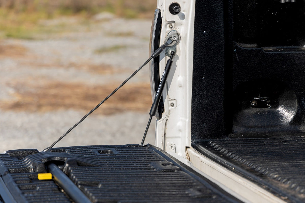 Tailgate Assist | Ford F-150 2WD/4WD (2004-2014) - Misc 25% (Image 5 of 5)